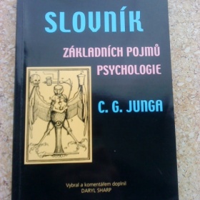 Slovník základních pojmů psychologie C. C. Junga - Daryl Sharp