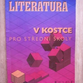 Literatura v kostce pro střední školy (Marie Sochrová)