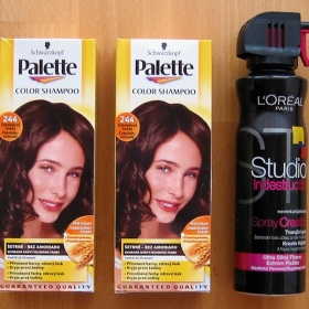 2 x Palette Color Šampon (Čokoládově hnědá) + L´Oréal Studio Indestructible tvarující sprej