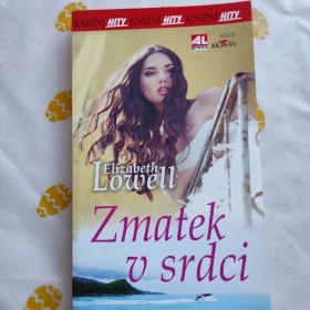 Zmatek v  srdci - Elizabeth Lowel